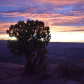 Canyonlands Natonal Park