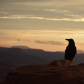 Canyonlands National Park
