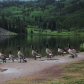White River National Forest