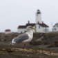 Dungeness National Wildlife Refuge