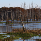 Black Bayou Lake National Wildlife Refuge