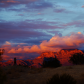 Mojave National Preserve