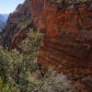 Zion National Park