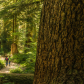 Olympic National Park
