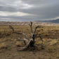 Great Sand Dunes National Park & Preserve