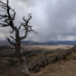 Mesa Verde National Park 