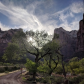 Zion National Park