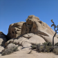 Joshua Tree National Park