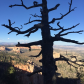 Bryce Canyon National Park