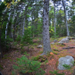 Acadia National Park