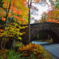 Acadia National Park