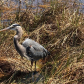 Everglades National Park
