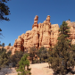 Dixie National Forest