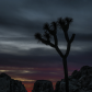 Joshua Tree National Park