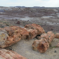 Petrified Forest National Park