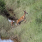 Theodore Roosevelt National Park