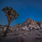 Joshua Tree National Park