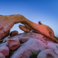 Joshua Tree National Park