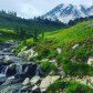 Mount Rainier National Park