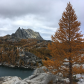 Wenatchee National Forest