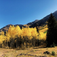 White River National Forest