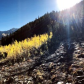 White River National Forest