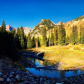 White River National Forest