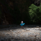 Zion National Park