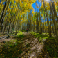 Apache-Sitgreaves National Forest