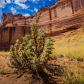 Canyon de Chelly National Monument