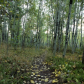 Arapaho and Roosevelt National Forests