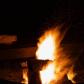 Routt National Forest
