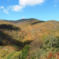 Blue Ridge Parkway