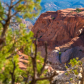 Capital Reef National Park