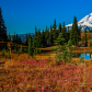 Mount Rainier National Park