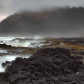 Siuslaw National Forest