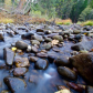 Yosemite National Park