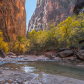 Zion National Park 