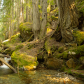 North Cascades National Park