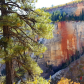 Zion National Park