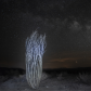 Joshua Tree National Park