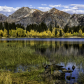 Gunnison National Forest