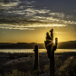 BLM Lake Havasu Offce