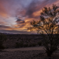 BLM Lake Havasu Office