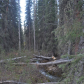 Denali National Park