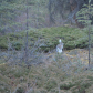 Denali National Park