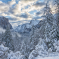 Yosemite National Park
