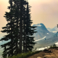 Mount Baker-Snoqualmie National Forest