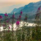 Mount Baker-Snoqualmie National Forest