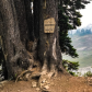 Mount Baker-Snoqualmie National Forest